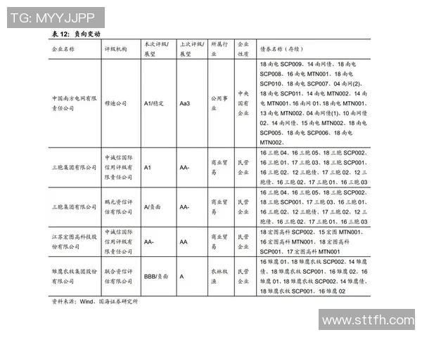 官方资讯概览：全面解读最新政策动态与行业趋势分析
